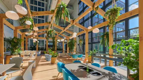 Image of bright plant filled office space with blue chairs and glass windows which allow sun to shine through.